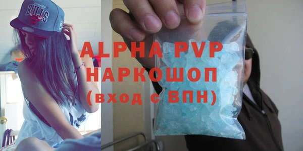 прущие грибы Новодвинск