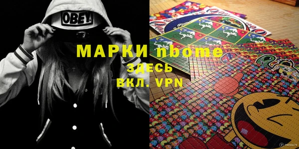 гашик Новозыбков