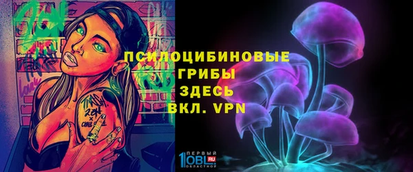 гашик Новозыбков