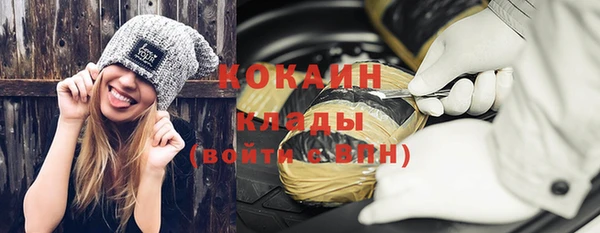 прущие грибы Новодвинск