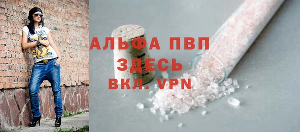 прущие грибы Новодвинск