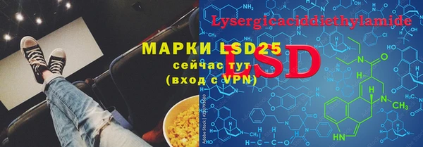 индика Абинск